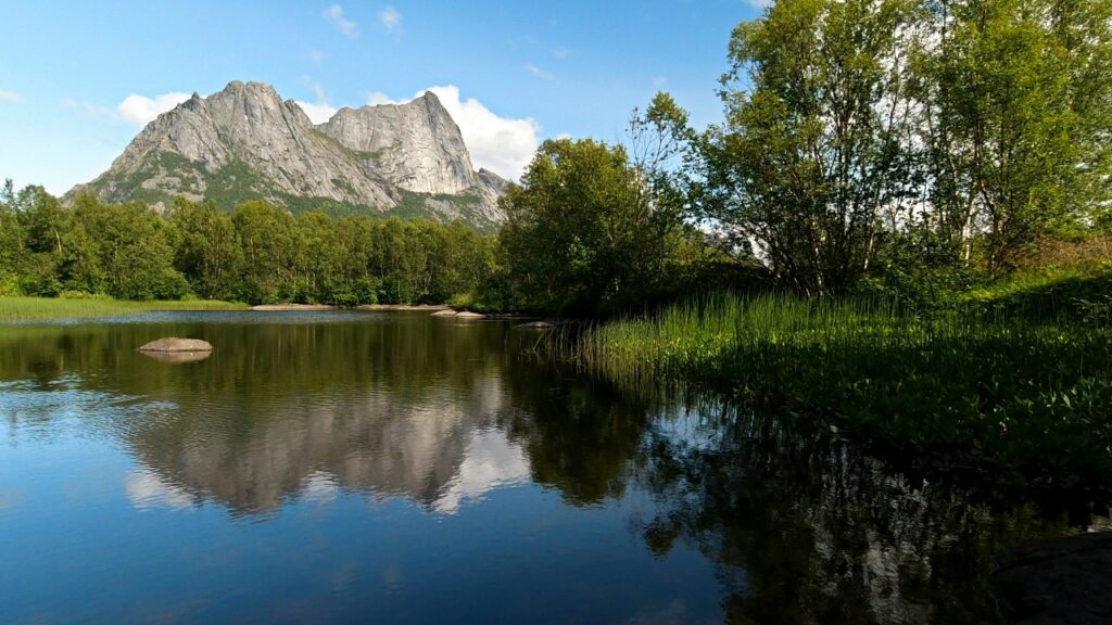 Nature Sounds Of Birds Singing In The Autumn Forest