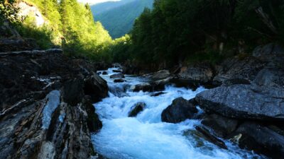 Forest River Flowing Sound in Green Nature. Flowing River, Water Sounds.  White Noise for Sleeping. 