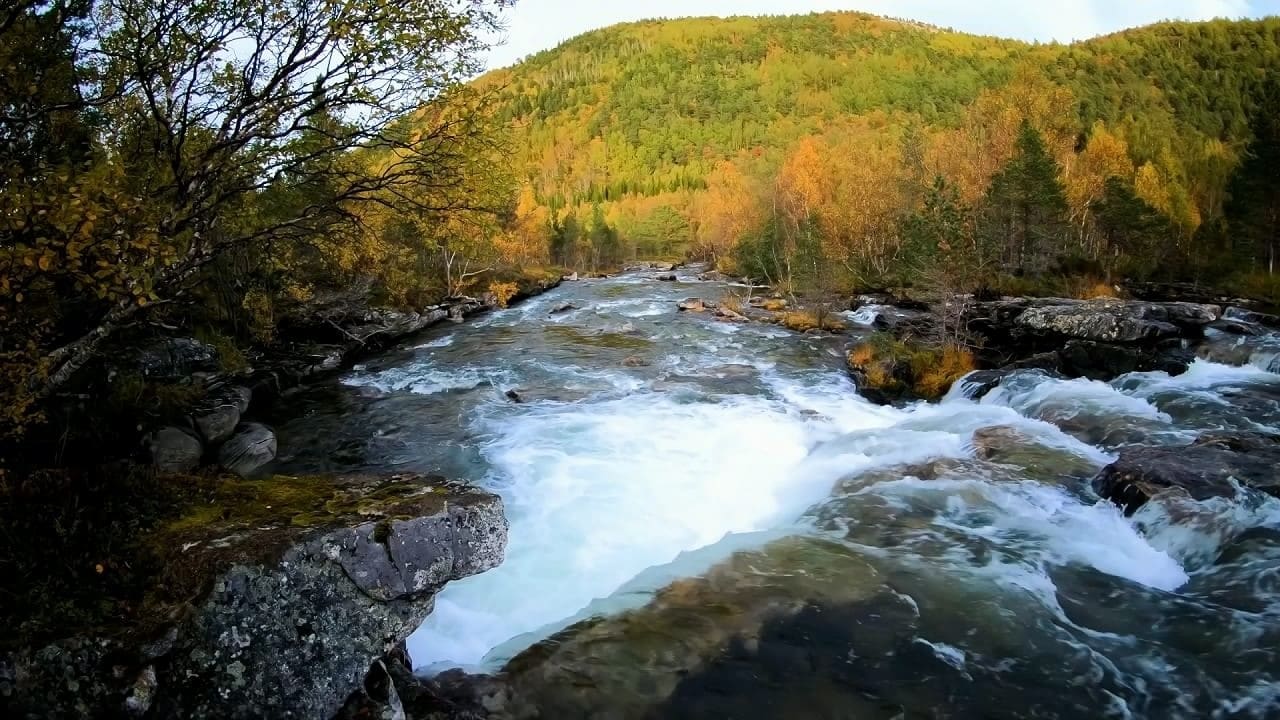 waterfall sounds water falls